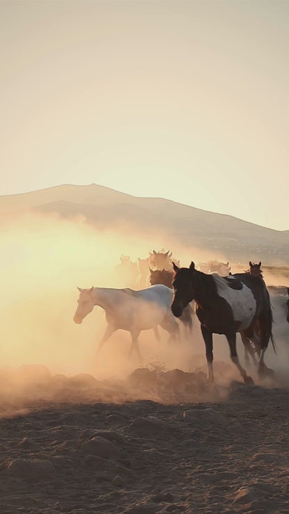 7 Running Horses Sculpture